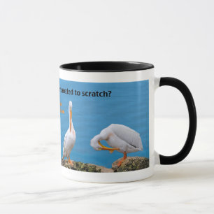 Zwei Pelikane mit einem Jucken Tasse