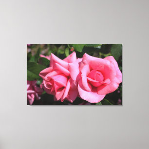 zwei perfekte Blume in heißen rosa Rose. Liebe Leinwanddruck