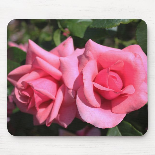 zwei perfekte Blume in heißen rosa Rose. Liebe Mousepad (Vorne)