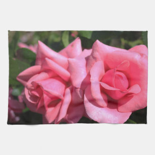 zwei perfekte heiß rosa Rosenblumen. Liebe Geschirrtuch