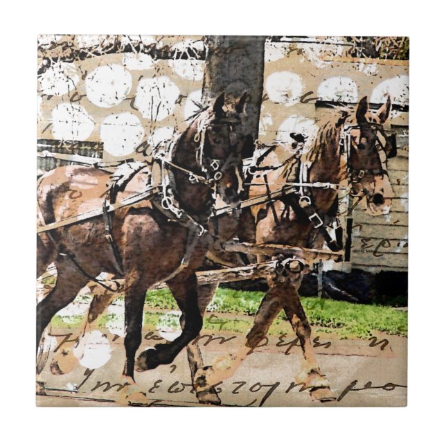 Zwei Pferd Team Mixed Media Collage Fliese (Vorderseite)