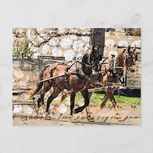 Zwei Pferd Team Mixed Media Collage Postkarte (Vorderseite)