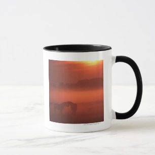 Zwei Pferde am Sonnenuntergang Tasse