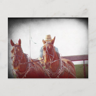 Zwei Pferde-Amish-Gespann Faux-Vintage Postkarte