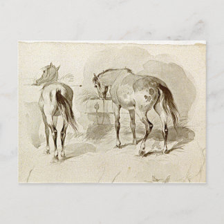 Zwei Pferde auf der Gefahr Postkarte