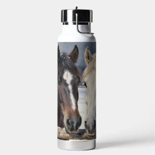 Zwei Pferde auf einer verschneiten Farm Personal Trinkflasche