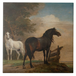 Zwei Pferde auf einer Wiese nahe dem Tor (Paulus P Fliese