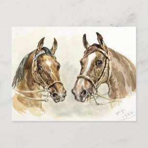 Zwei Pferde aus "Studies in Animal Painting" Postkarte