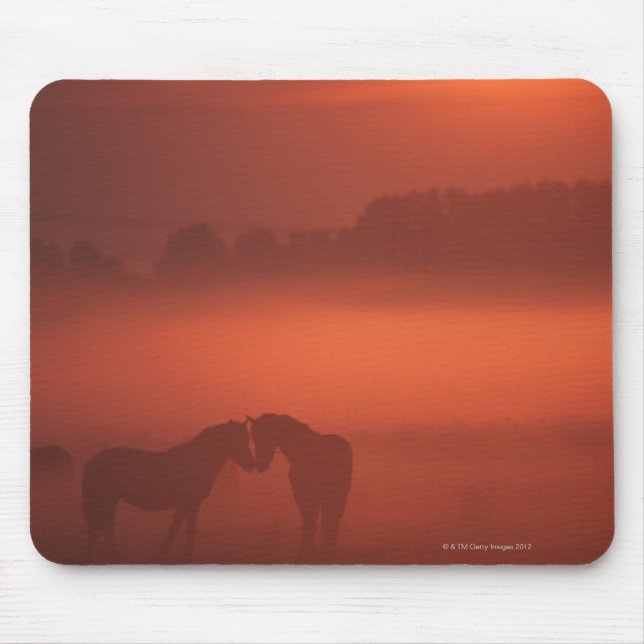 Zwei Pferde bei Sonnenuntergang Mousepad (Vorne)