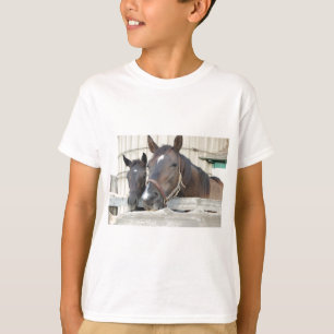 Zwei Pferde Chewin einen Zaun T-Shirt