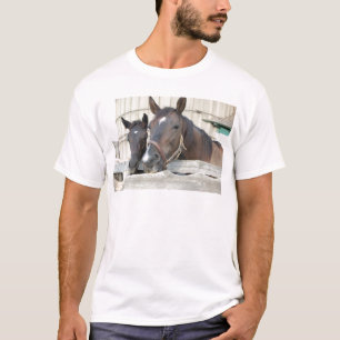 Zwei Pferde Chewin einen Zaun T-Shirt