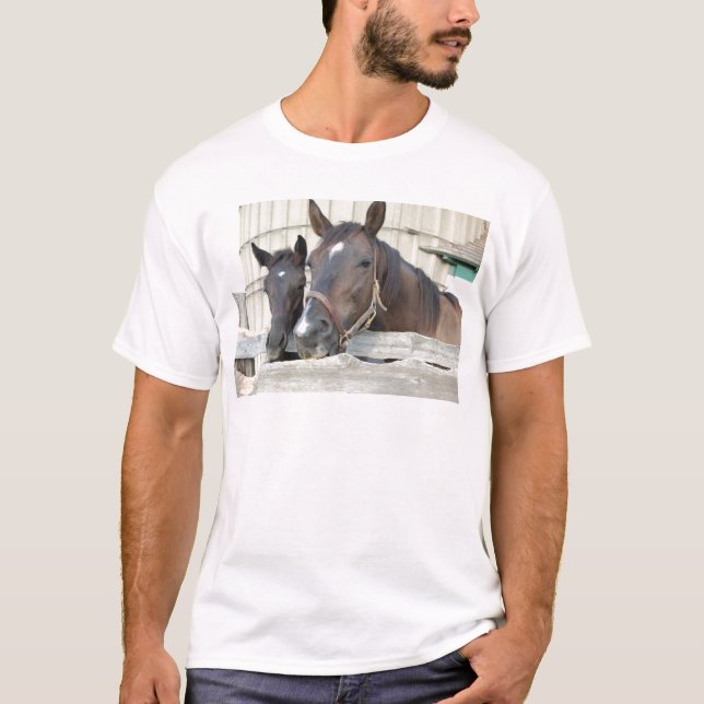 Zwei Pferde Chewin einen Zaun T-Shirt (Vorderseite)