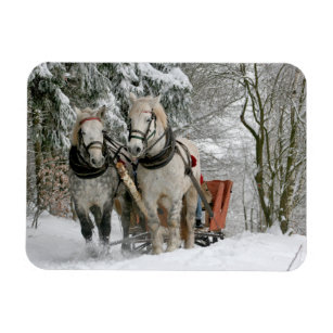 Zwei Pferde Gezeichnet Open Sleigh auf dem Snowy P Magnet