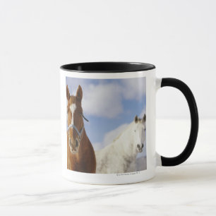 Zwei Pferde Tasse