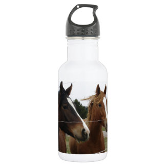 Zwei Pferde Trinkflasche