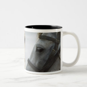 Zwei Pferdetreffen Zweifarbige Tasse