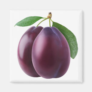 Zwei Pflaumen Magnet