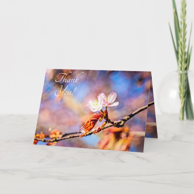 Zwei Phantastische Sakura-Blume. Rosa, blauer Hint Dankeskarte (Vorderseite)