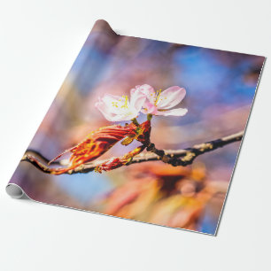 Zwei Phantastische Sakura-Blume. Rosa, blauer Hint Geschenkpapier