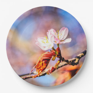 Zwei Phantastische Sakura-Blume. Rosa, blauer Hint Pappteller