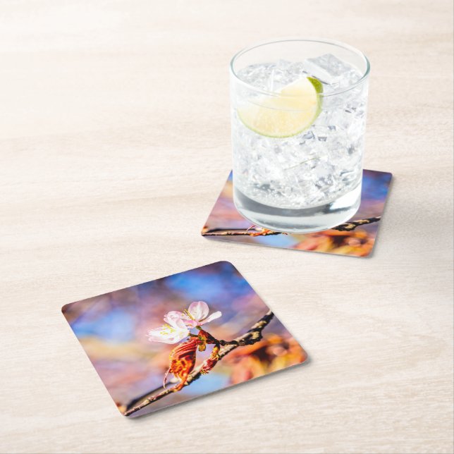 Zwei Phantastische Sakura-Blume. Rosa, blauer Hint Rechteckiger Pappuntersetzer (Vor Ort)