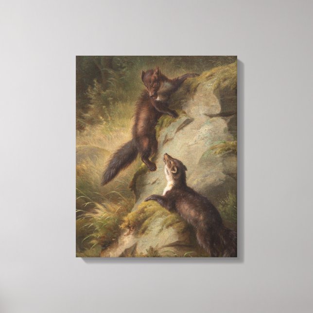 Zwei Pine Martens auf einem Felsen im Wald Leinwanddruck (Vorderseite)