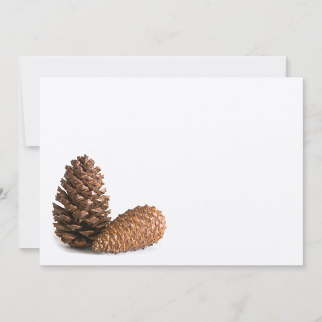 Zwei pinecones (Vorderseite)