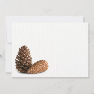 Zwei pinecones