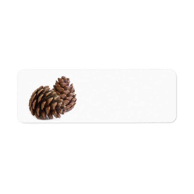 Zwei pinecones (Vorne)