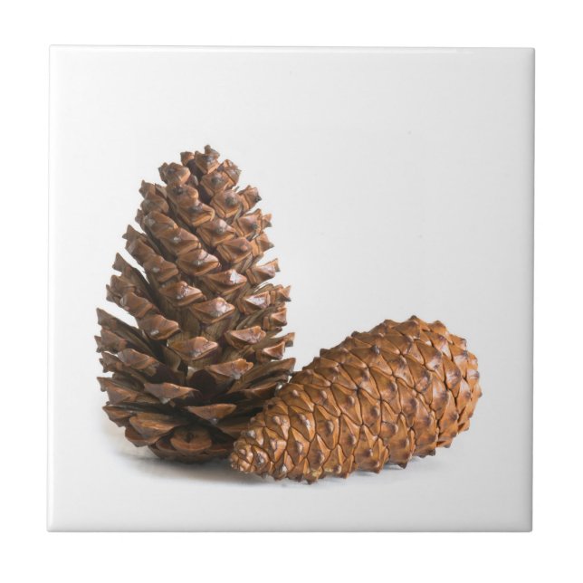 Zwei pinecones fliese (Vorderseite)