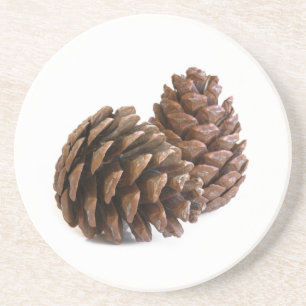 Zwei pinecones getränkeuntersetzer