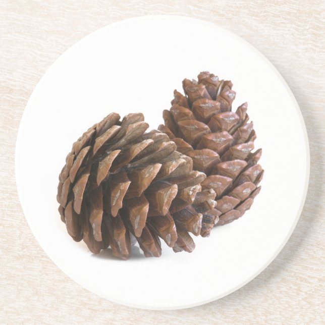 Zwei pinecones getränkeuntersetzer (Vorne)