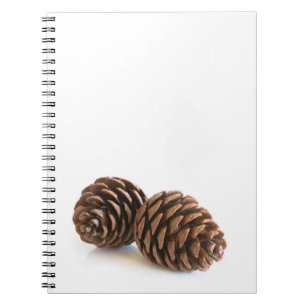 Zwei pinecones notizblock