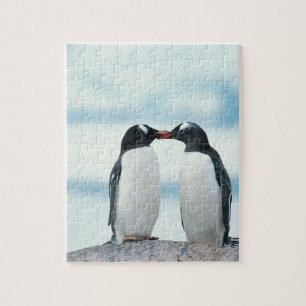 Zwei Pinguine mit Berührungsbaken Puzzle