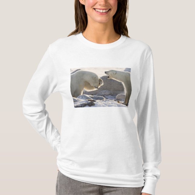 Zwei Polarbären T-Shirt (Vorderseite)