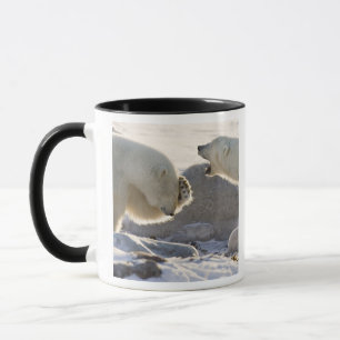 Zwei Polarbären Tasse