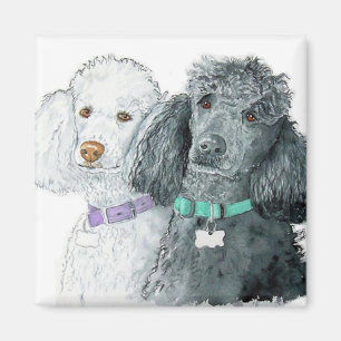 Zwei Poodles Magnet
