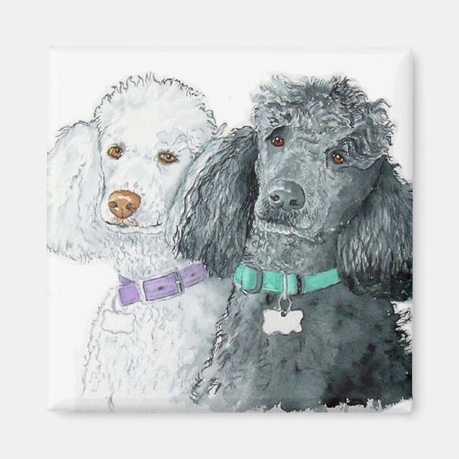 Zwei Poodles Magnet (Vorne)