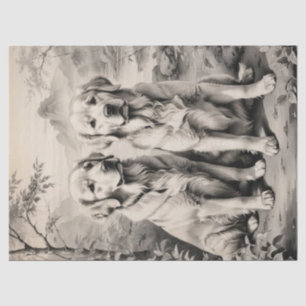 Zwei Portrait-Tissue-Papiere für Hunde mit Goldene Seidenpapier