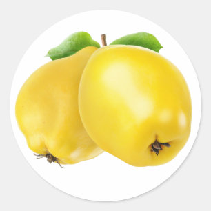 Zwei Quitfrüchte Runder Aufkleber