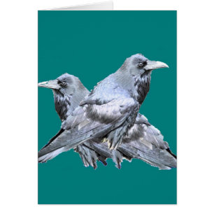 Zwei Raben-aquamarine Geschenke