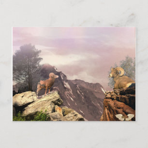 Zwei Rams im Hochland Postcard Postkarte