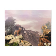 Zwei Rams im Hochland Postcard