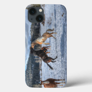 Zwei Ranch-Pferde spielen im Winterschnee IV Case-Mate iPhone Hülle