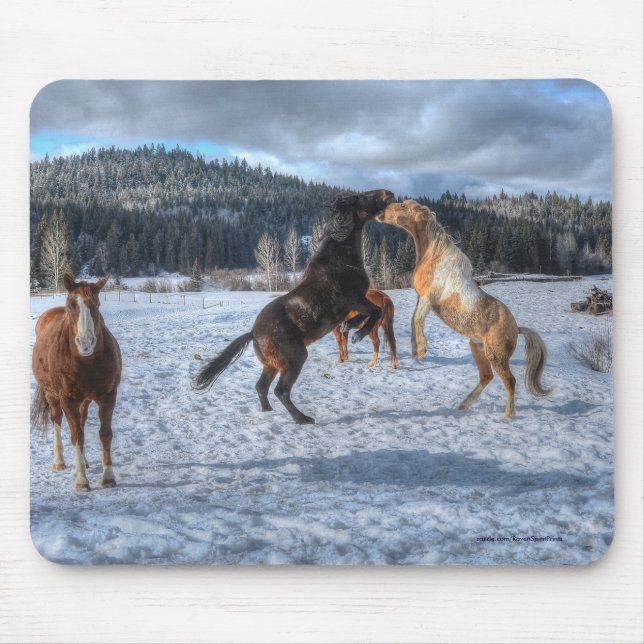 Zwei Ranch-Pferde spielen im Winterschnee IV Mousepad (Vorne)