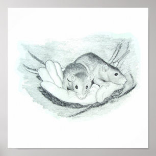 Zwei Ratten in der Hand Poster
