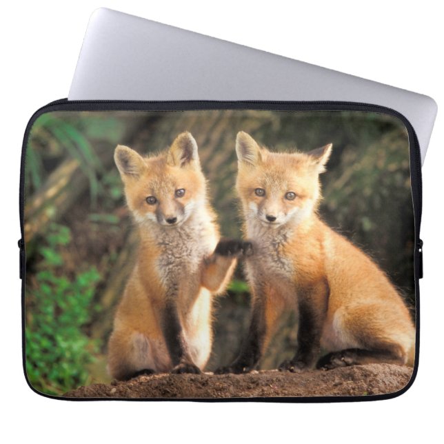 Zwei Red Fox Welpen vor ihren Den Laptopschutzhülle (Vorderseite)