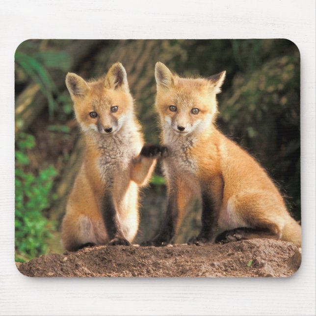 Zwei Red Fox Welpen vor ihren Den Mousepad (Vorne)
