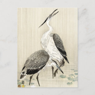 Zwei Reiher im Regen von Ohara Koson japanische Ku Postkarte