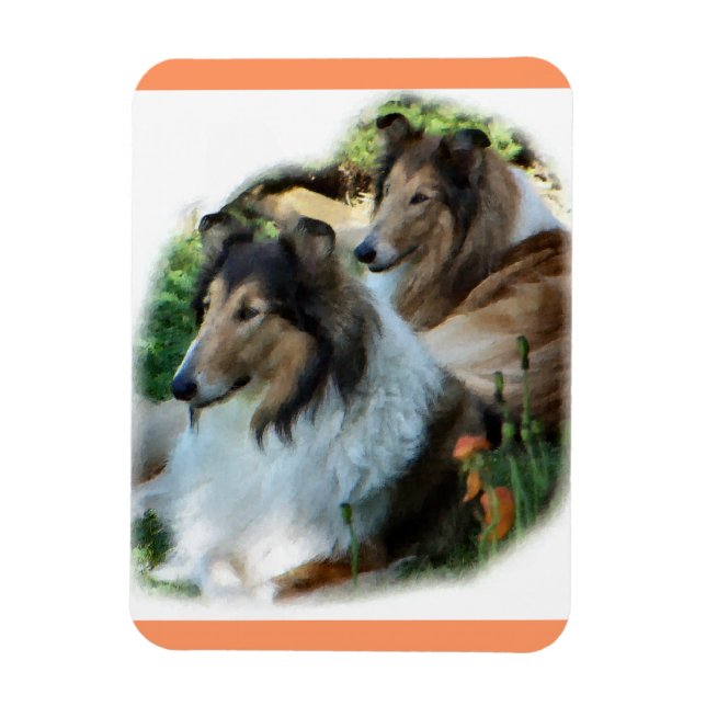 Zwei robuste Colliese Magnet (Vertikal)